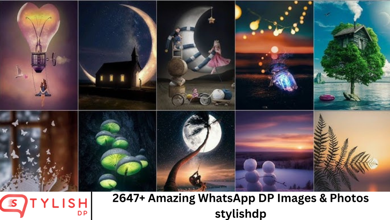 2647+ Amazing WhatsApp DP Images & Photos stylishdp