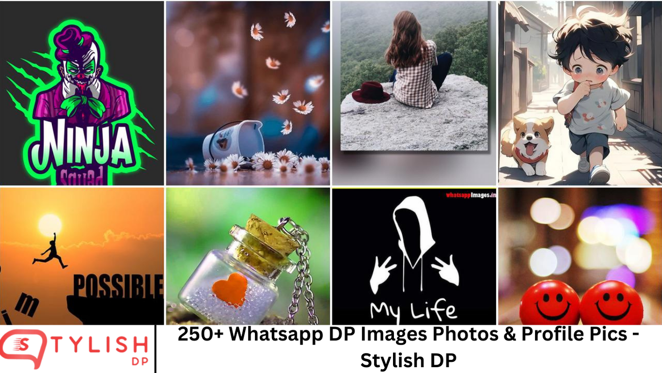 250+ Whatsapp DP Images Photos & Profile Pics - Stylish DP