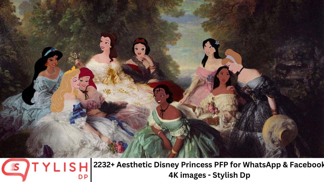 2232+ Aesthetic Disney Princess PFP for WhatsApp & Facebook 4K images - Stylish Dp