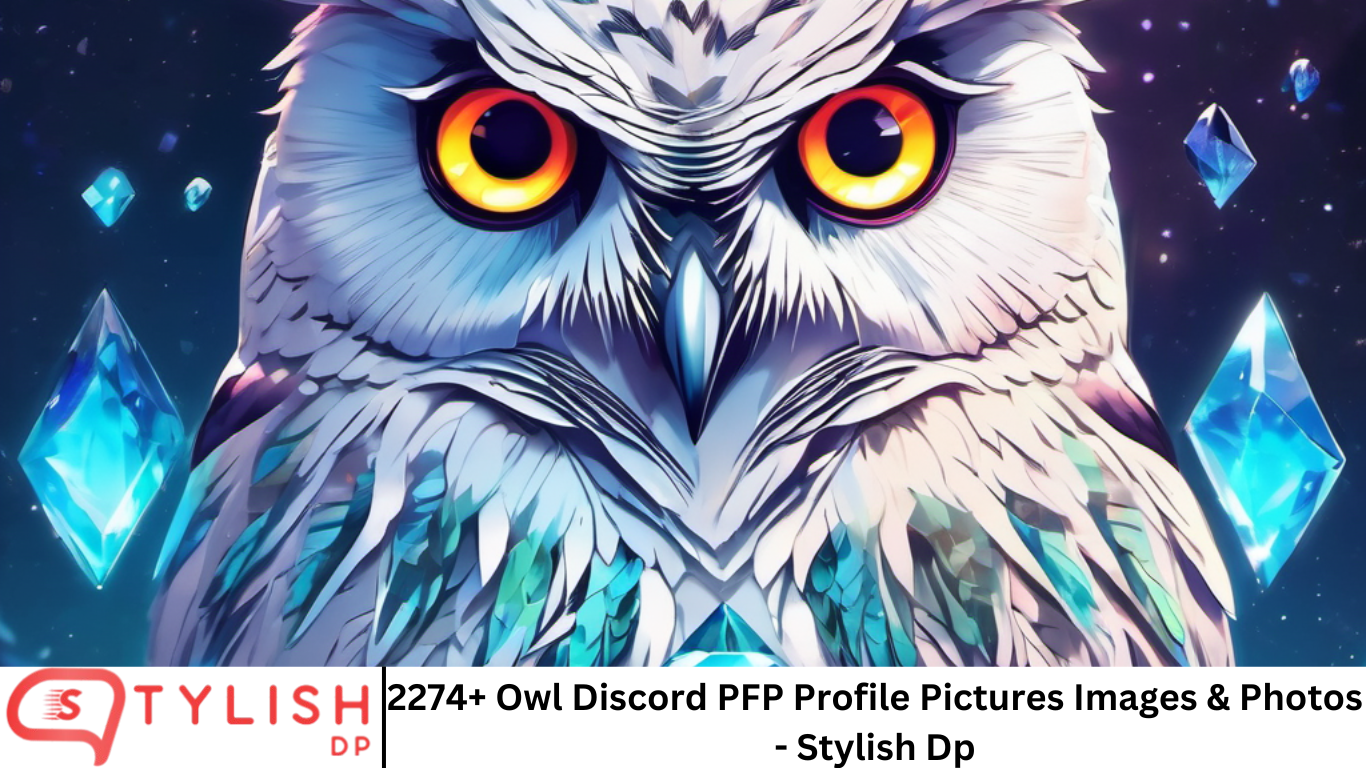 2274+ Owl Discord PFP Profile Pictures Images & Photos - Stylish Dp