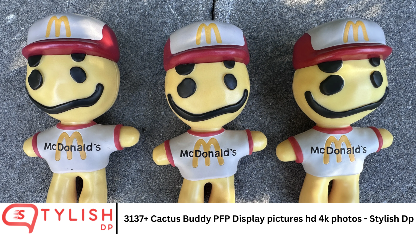 3137+ Cactus Buddy PFP Display pictures hd 4k photos - Stylish Dp