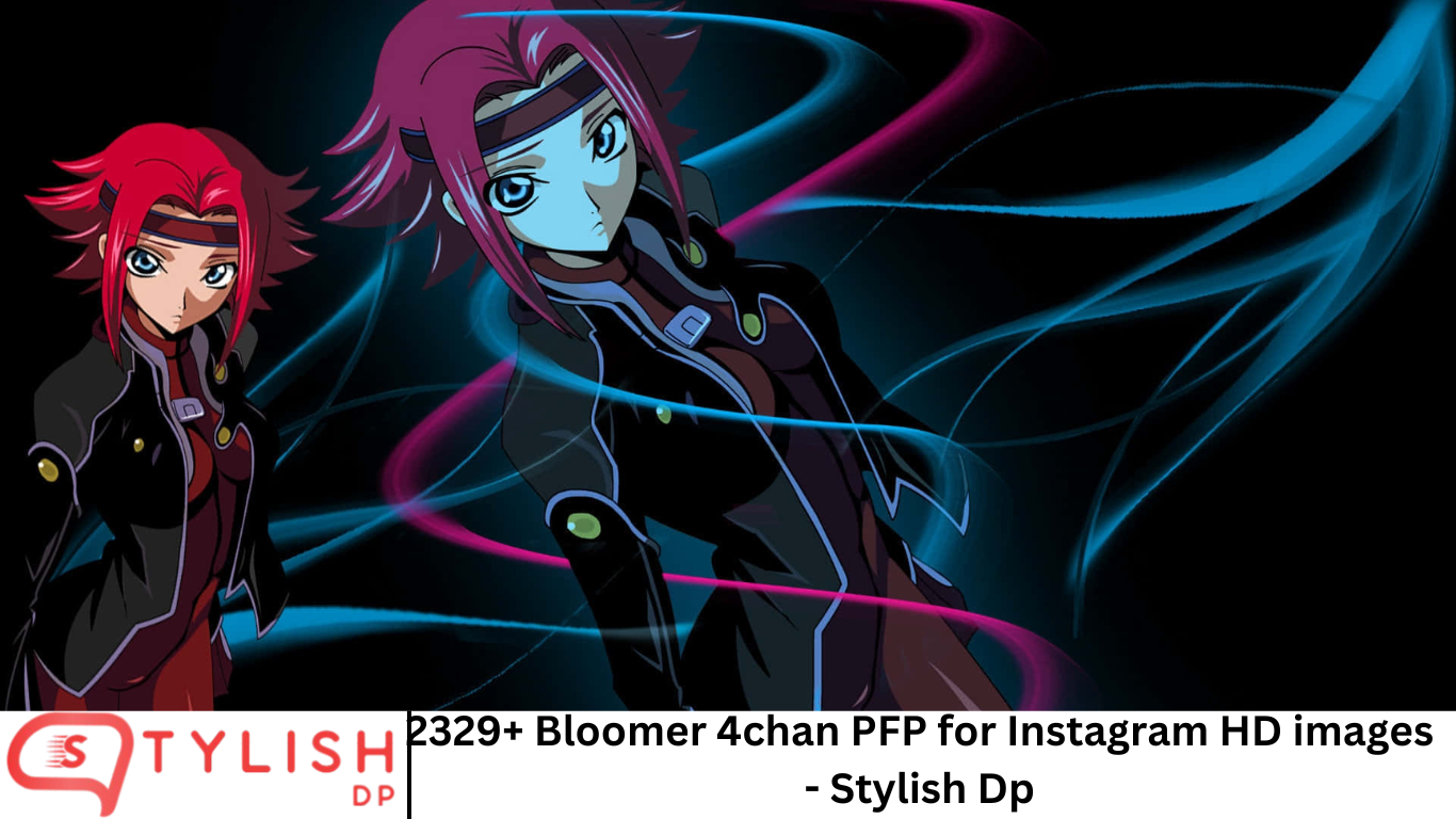 2329+ Bloomer 4chan PFP for Instagram HD images - Stylish Dp